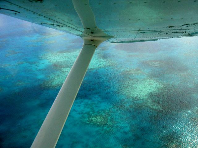 A 429 Cairns - La barriere de corail.jpg